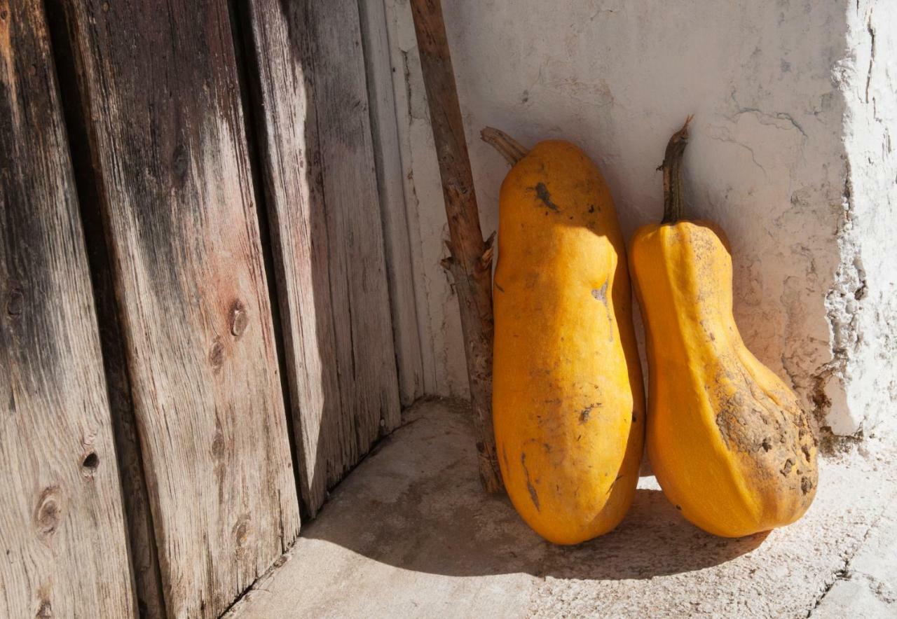 Casa Rural Villa De ジェステ エクステリア 写真